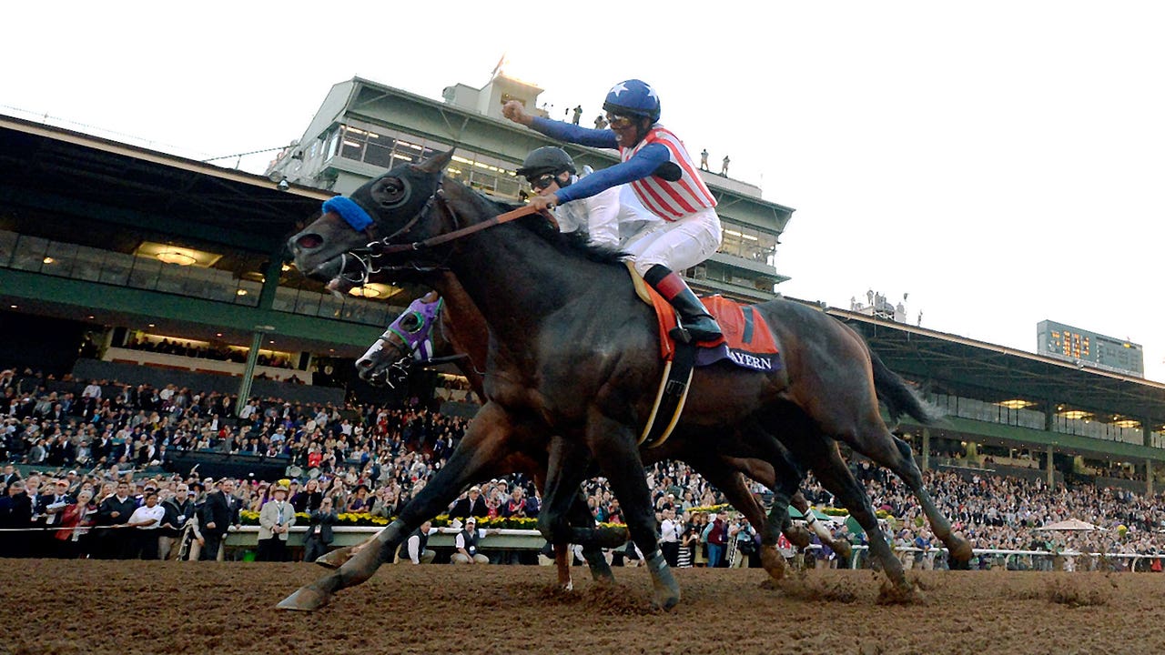 Bayern gets controversial win in $5 million Breeders' Cup Classic